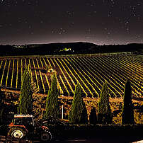 Spektakulärer Sternenhimmel über dem Weinberg in Montalcino von Andrea Costanti, Toskana, Italien