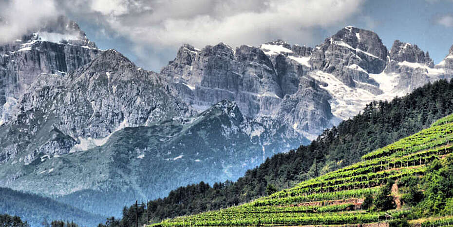 Wein-Italien-Trentino-Weinberge im Cembratal vor Bergkulisse