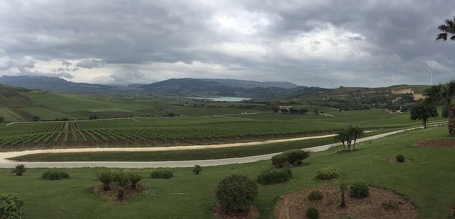 Blick vom Weingut Feudo d'Arancio auf die Weinberge, den Lago d'Arancio mit dem Weingut Planeta und dem Ort Sambuca di Sicilia, wo der Bürgermeister die verfallenen Häuser im Dorf für einen Euro verkauft