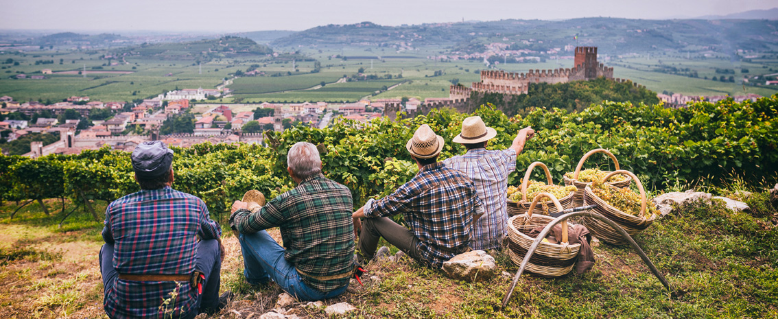 italien-wein-Venetien-Soave-Weißwein-WEingüter-Winzer-regionale Küche