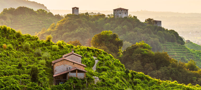 Landscape of Prosecco Superiore hills - close to Farra di Soligo showing vineyards and Torri Credazzo