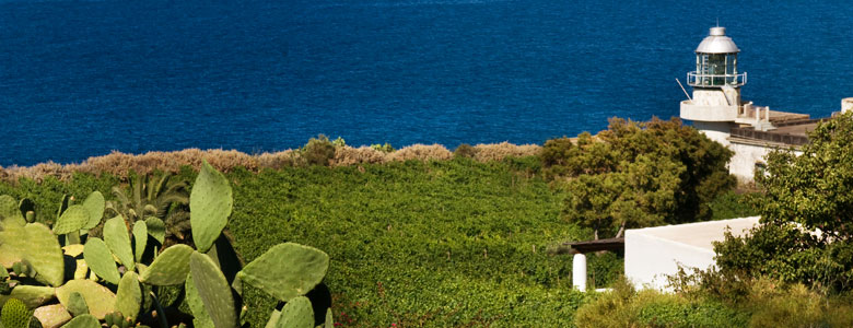 Blick auf den Leuchtturm und das Meer über Weinreben und Kakteen auf auf der Insel Salina, Resort Capofaro von Tasca