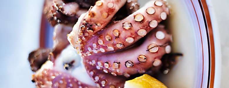 Italien Apulien, Pulpo auf dem Antipasti-Teller mit Zitrone, Nahaufnahme, Foto Markus Bassler