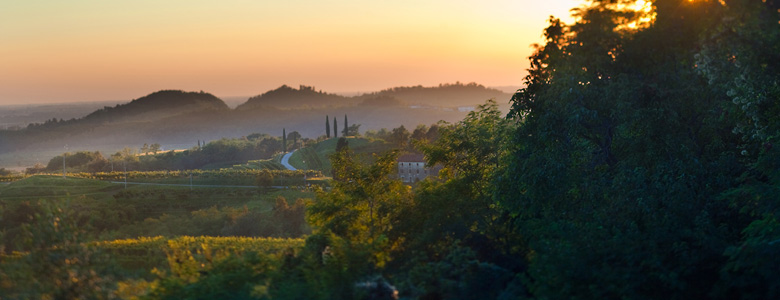 friaul-spezial-landschaft-001 WEIN Italien